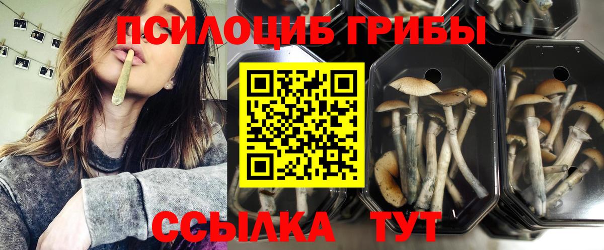 Галлюциногенные грибы MAGIC MUSHROOMS Тверь